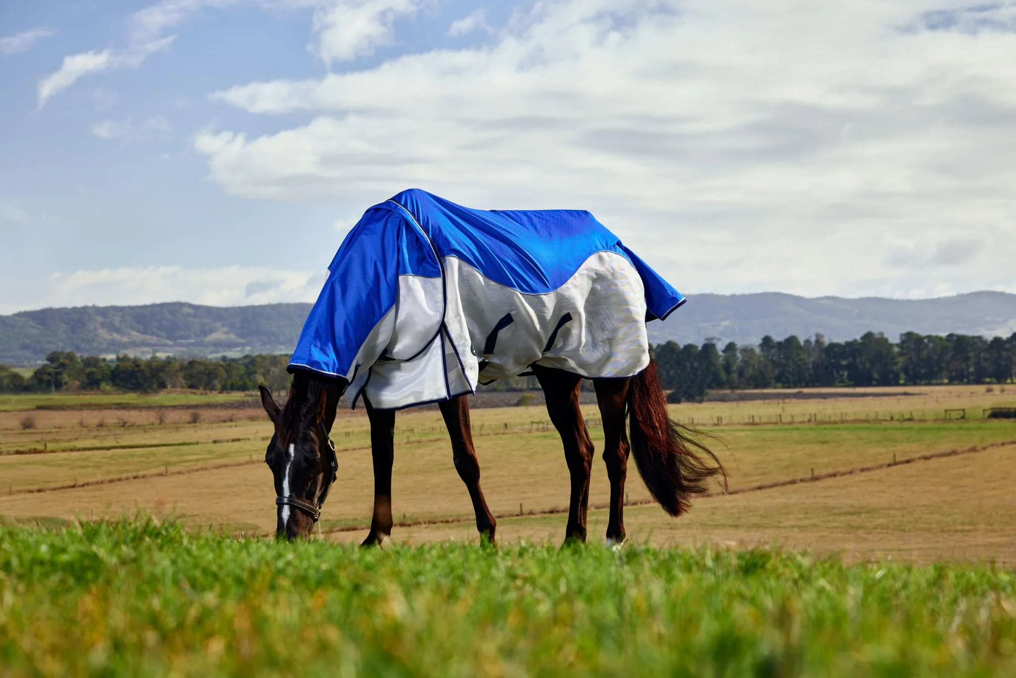 Weatherbeeta ComFiTec Duo Shield Detach-A-Neck - Image 3