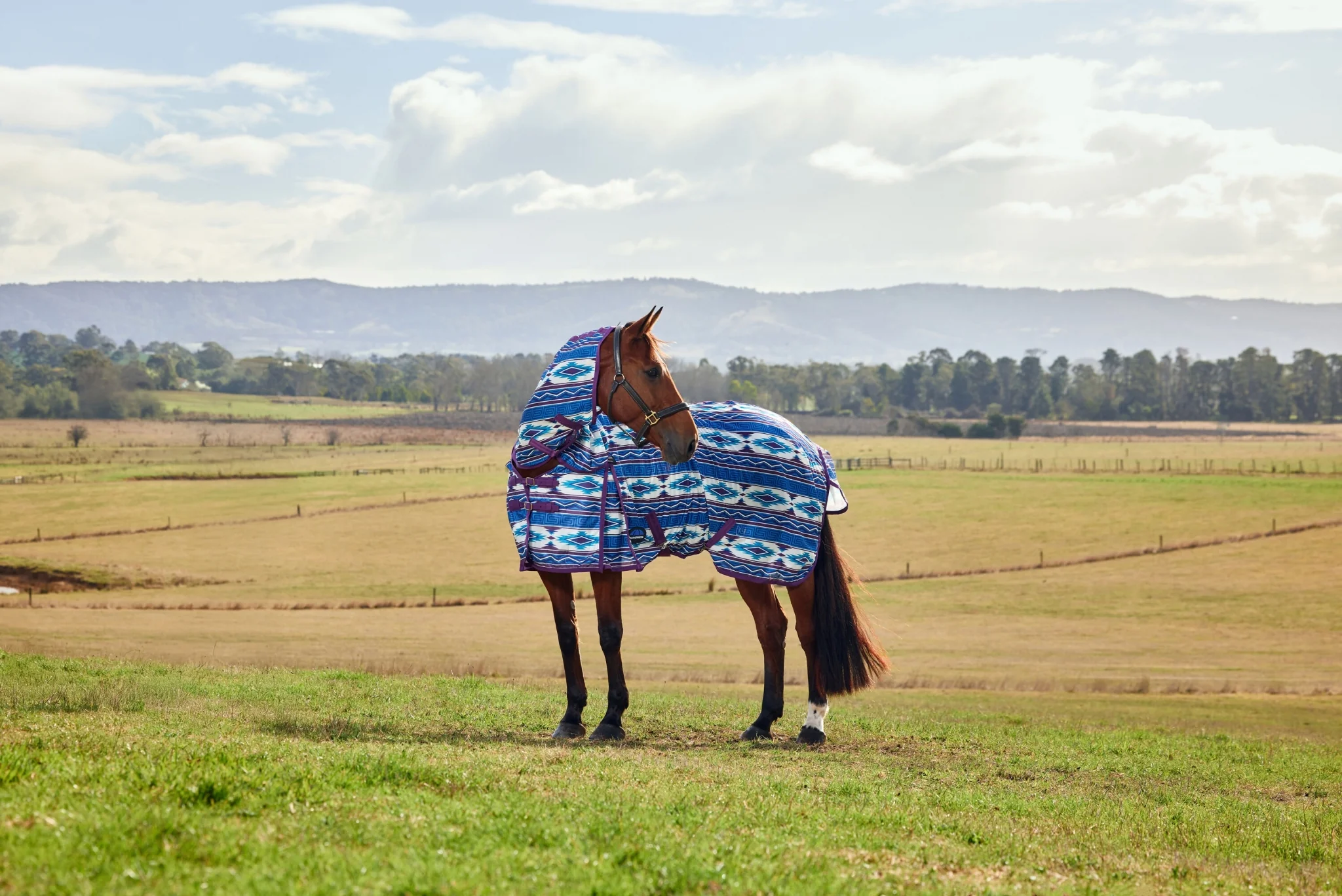 WeatherBeeta ComFiTec Essential Combo Neck Fly Sheet - Image 3