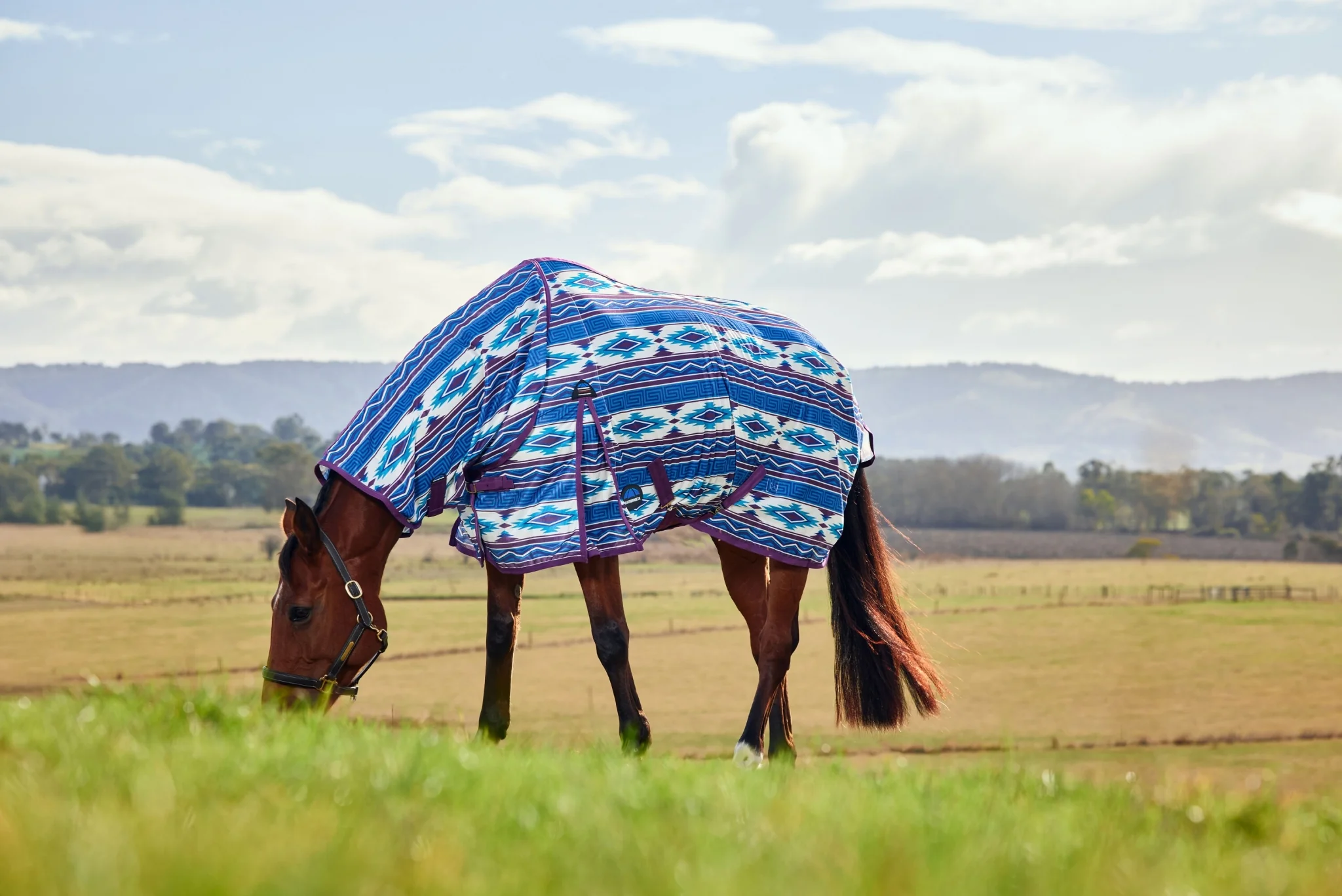 WeatherBeeta ComFiTec Essential Combo Neck Fly Sheet - Image 4