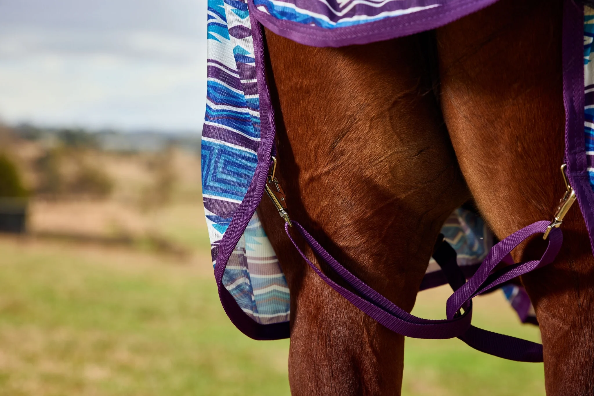 WeatherBeeta ComFiTec Essential Combo Neck Fly Sheet - Image 5