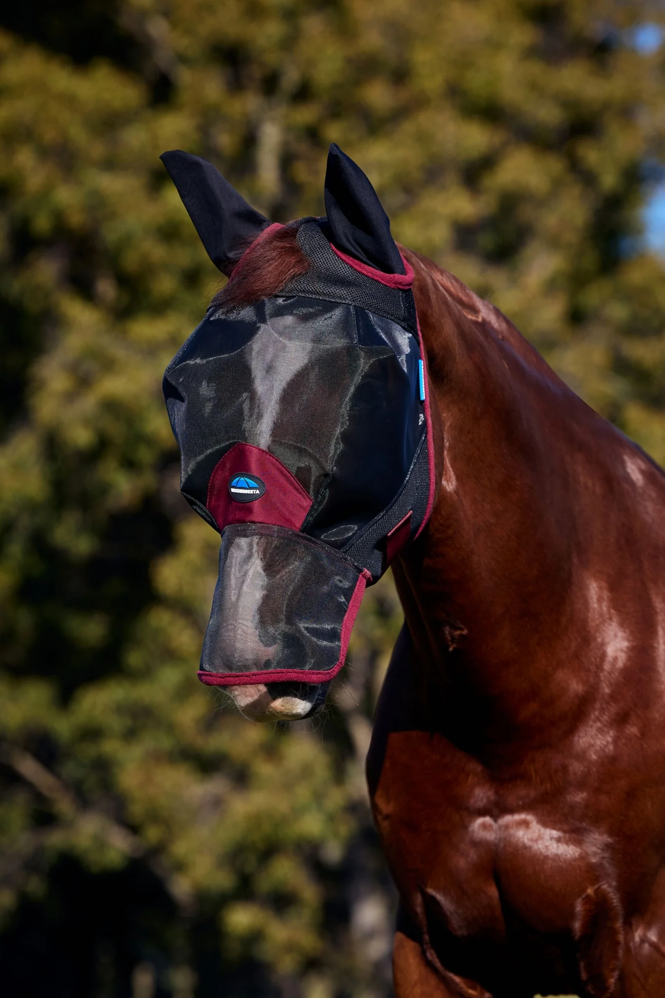 Weatherbeeta ComFiTec Fine Mesh Fly Mask with Ears & Nose - Image 3