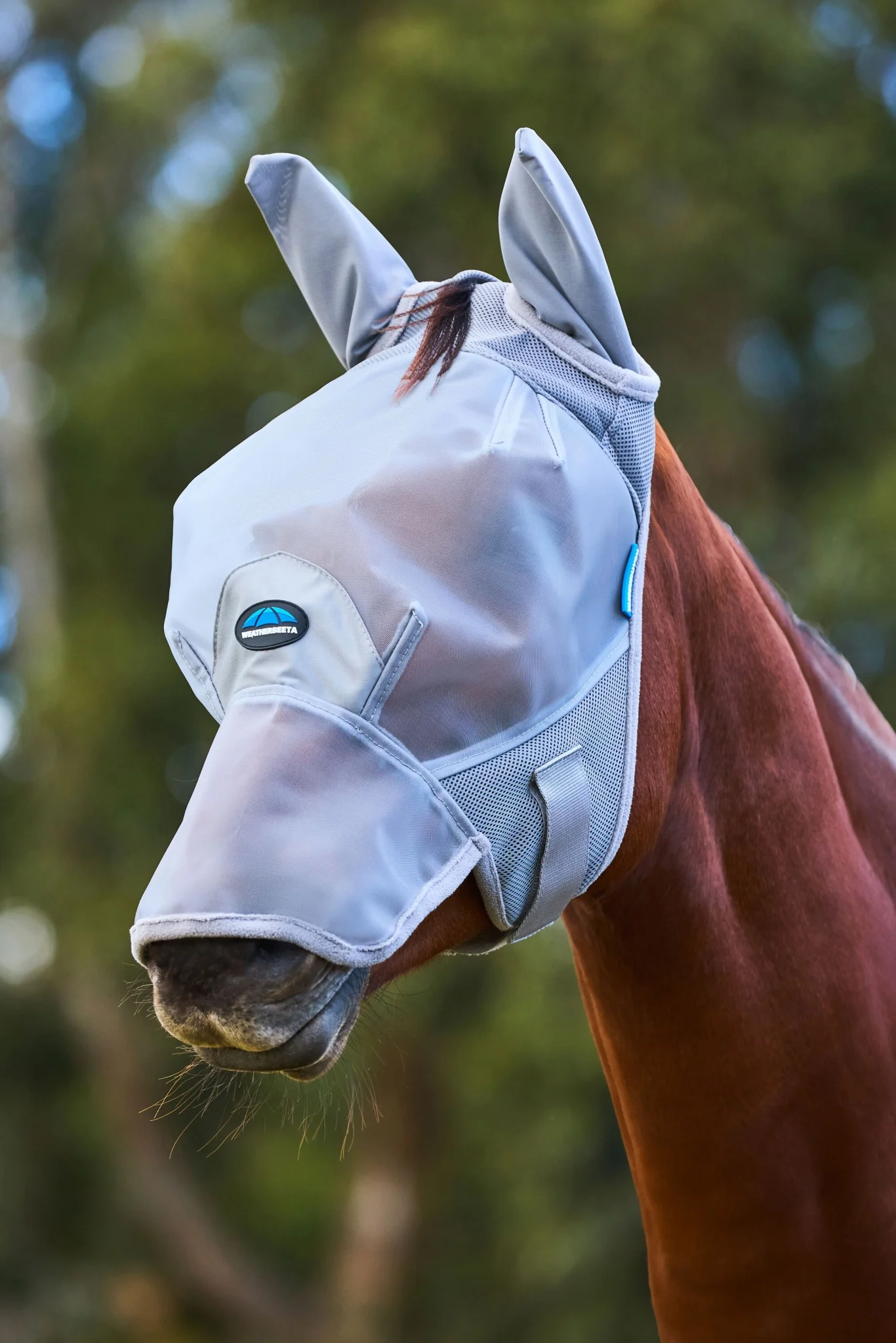 Weatherbeeta ComFiTec Fine Mesh Fly Mask with Ears & Nose - Image 4