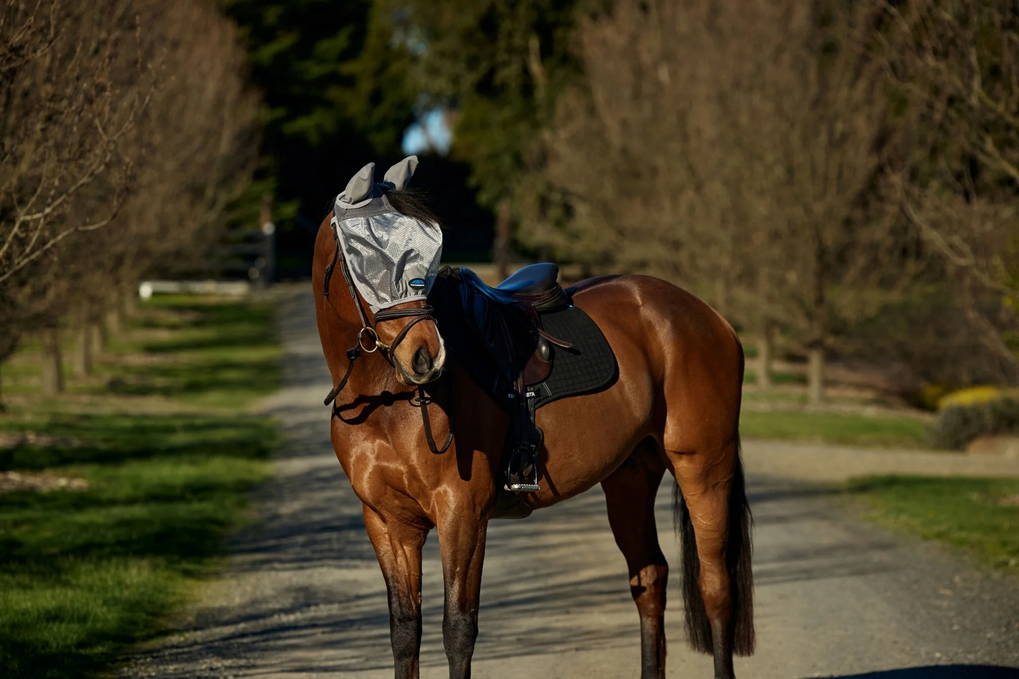 Weatherbeeta ComFiTec Hexi Shield Ride On Fly Mask - Image 3