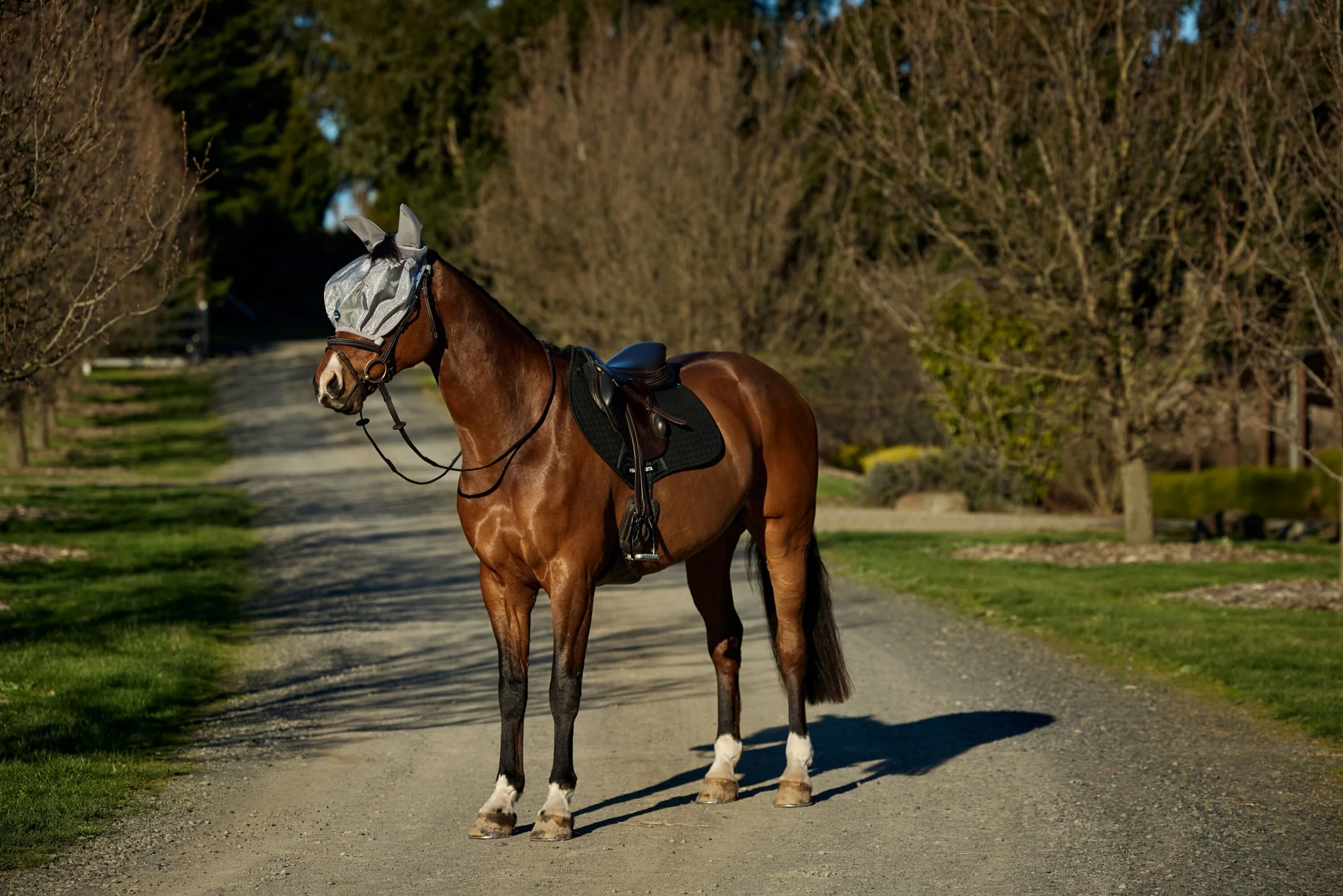 Weatherbeeta ComFiTec Hexi Shield Ride On Fly Mask - Image 4
