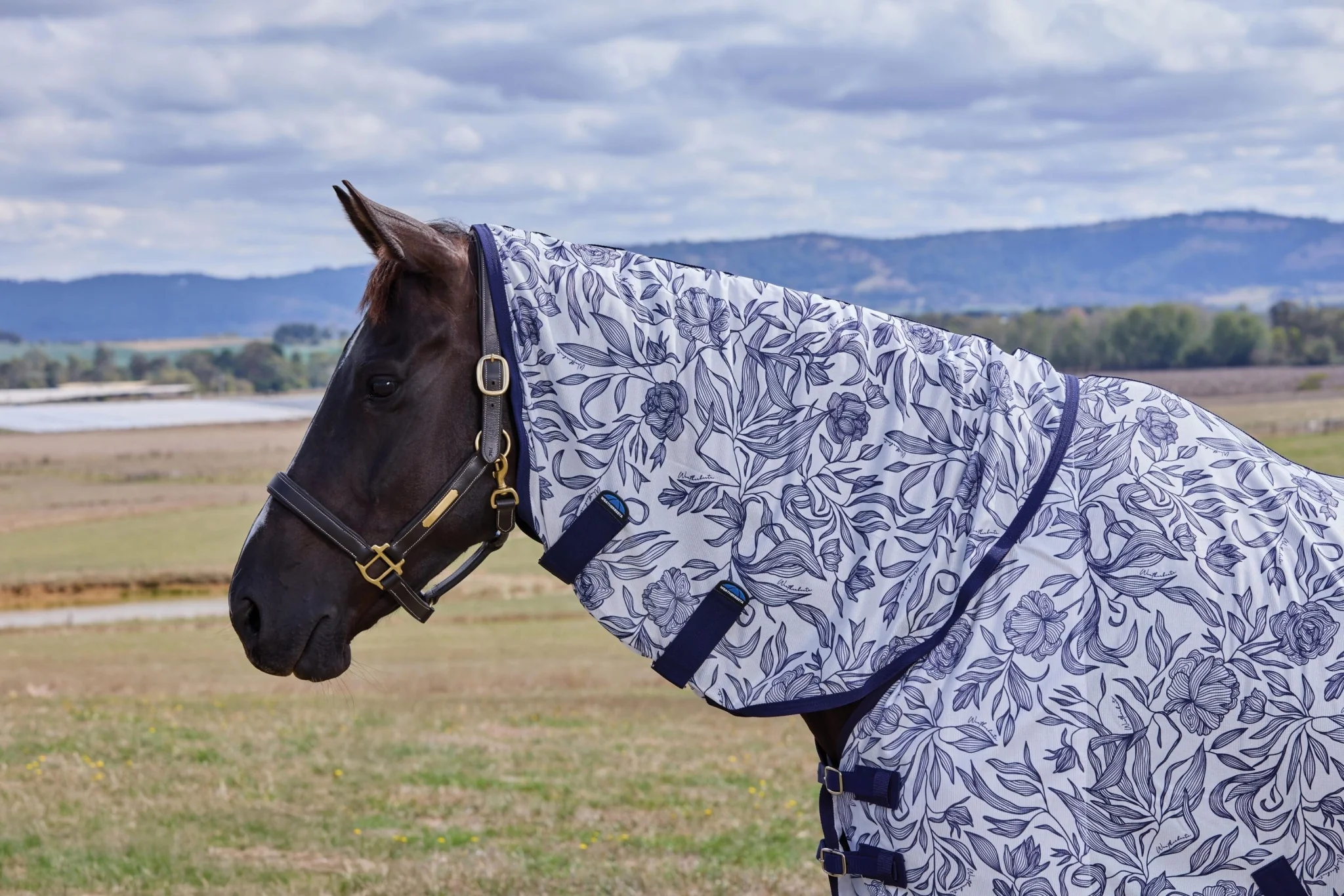 Weatherbeeta ComFiTec Limited Edition Fly Sheet Combo - Image 10
