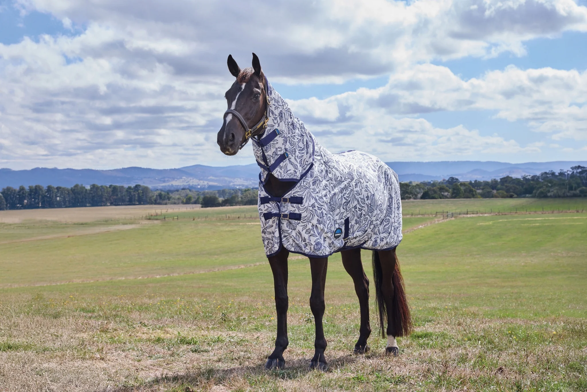Weatherbeeta ComFiTec Limited Edition Fly Sheet Combo - Image 2