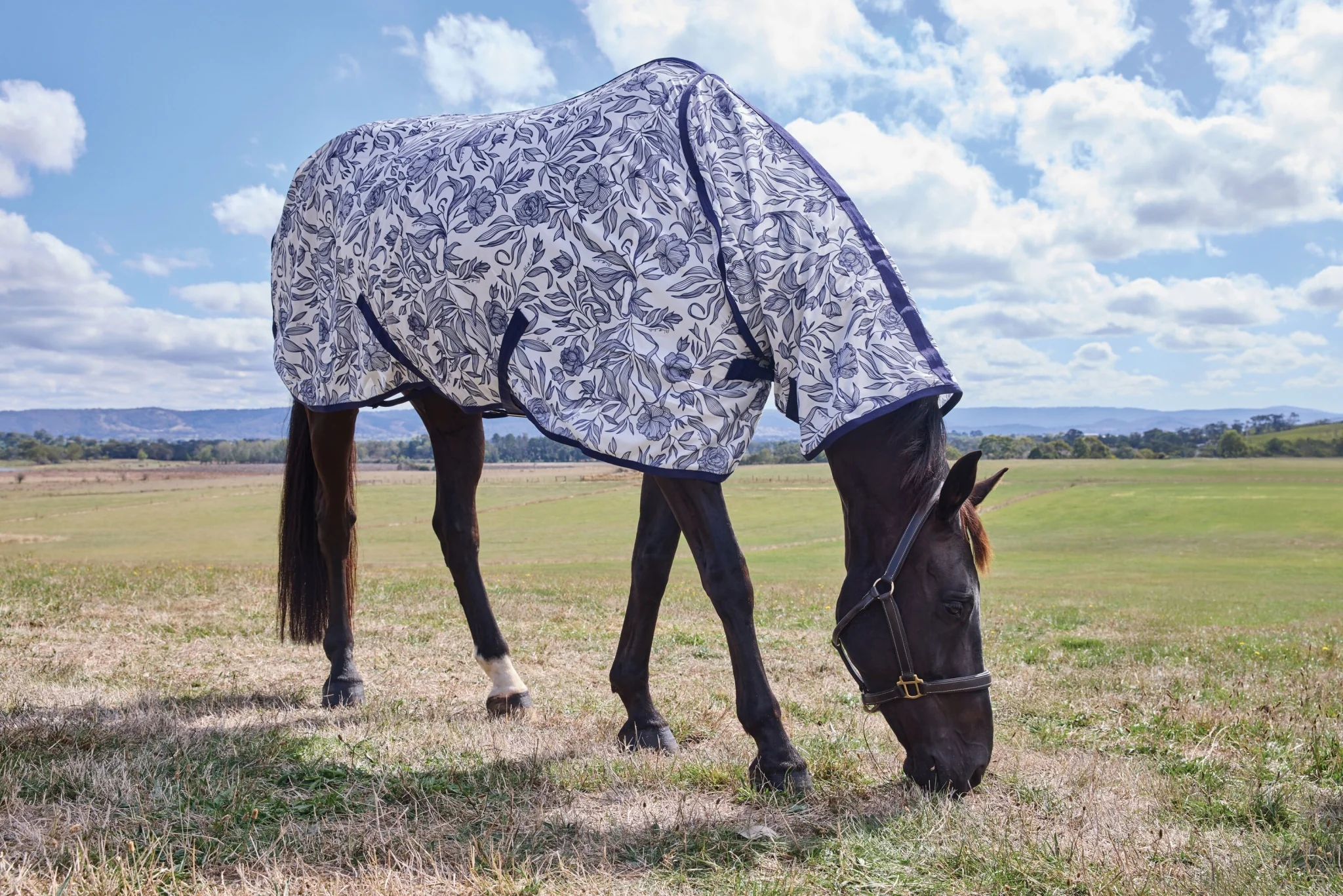 Weatherbeeta ComFiTec Limited Edition Fly Sheet Combo - Image 3