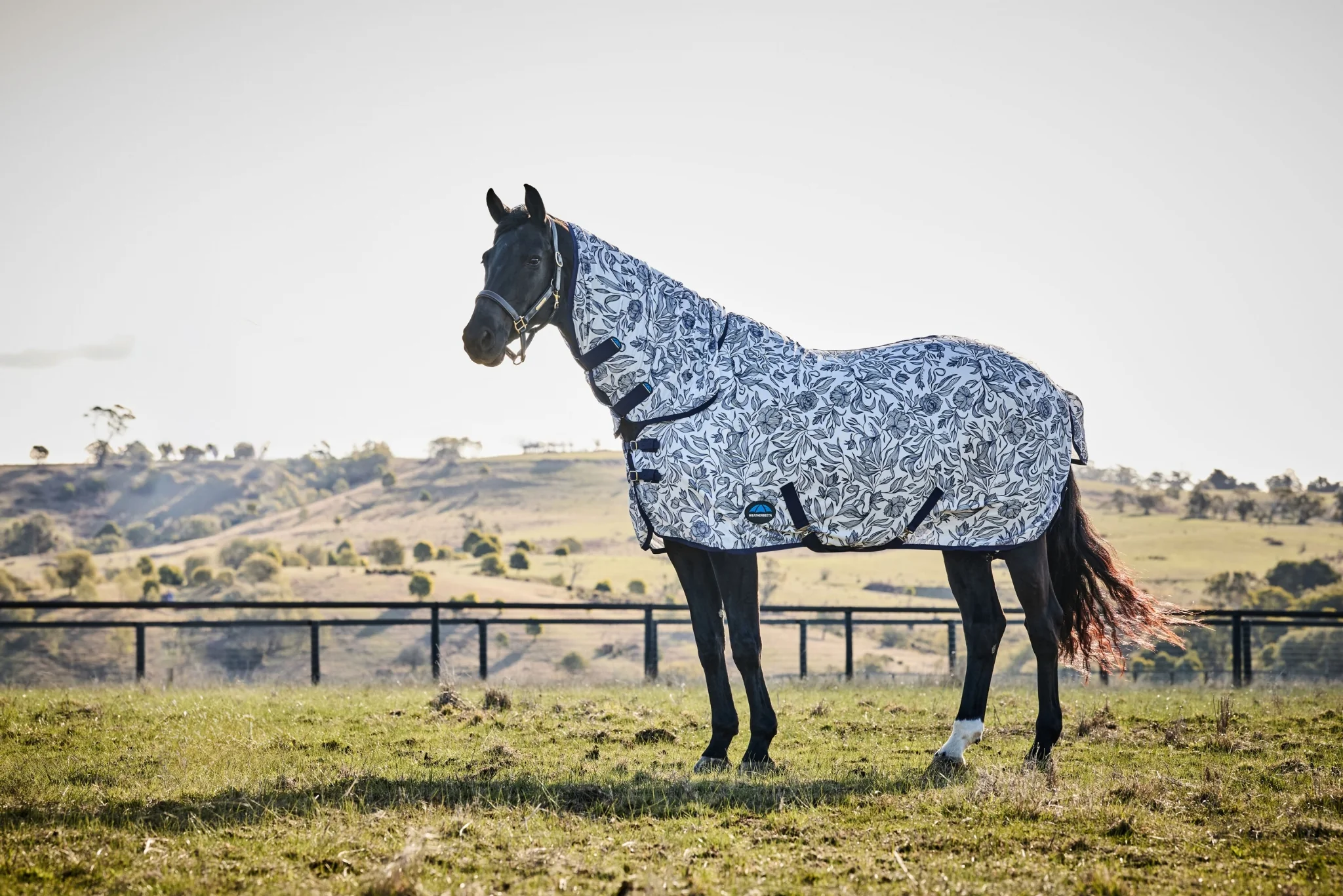 Weatherbeeta ComFiTec Limited Edition Fly Sheet Combo - Image 4