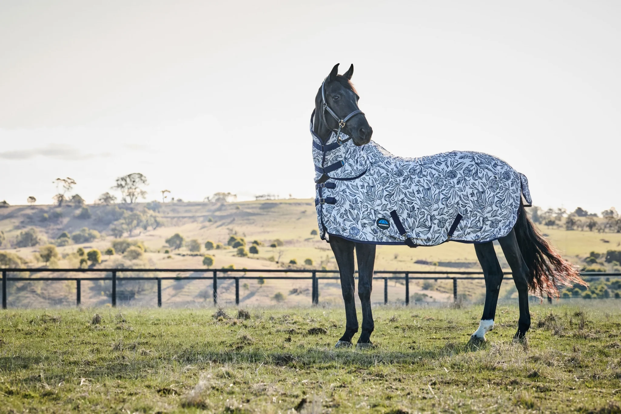 Weatherbeeta ComFiTec Limited Edition Fly Sheet Combo - Image 5