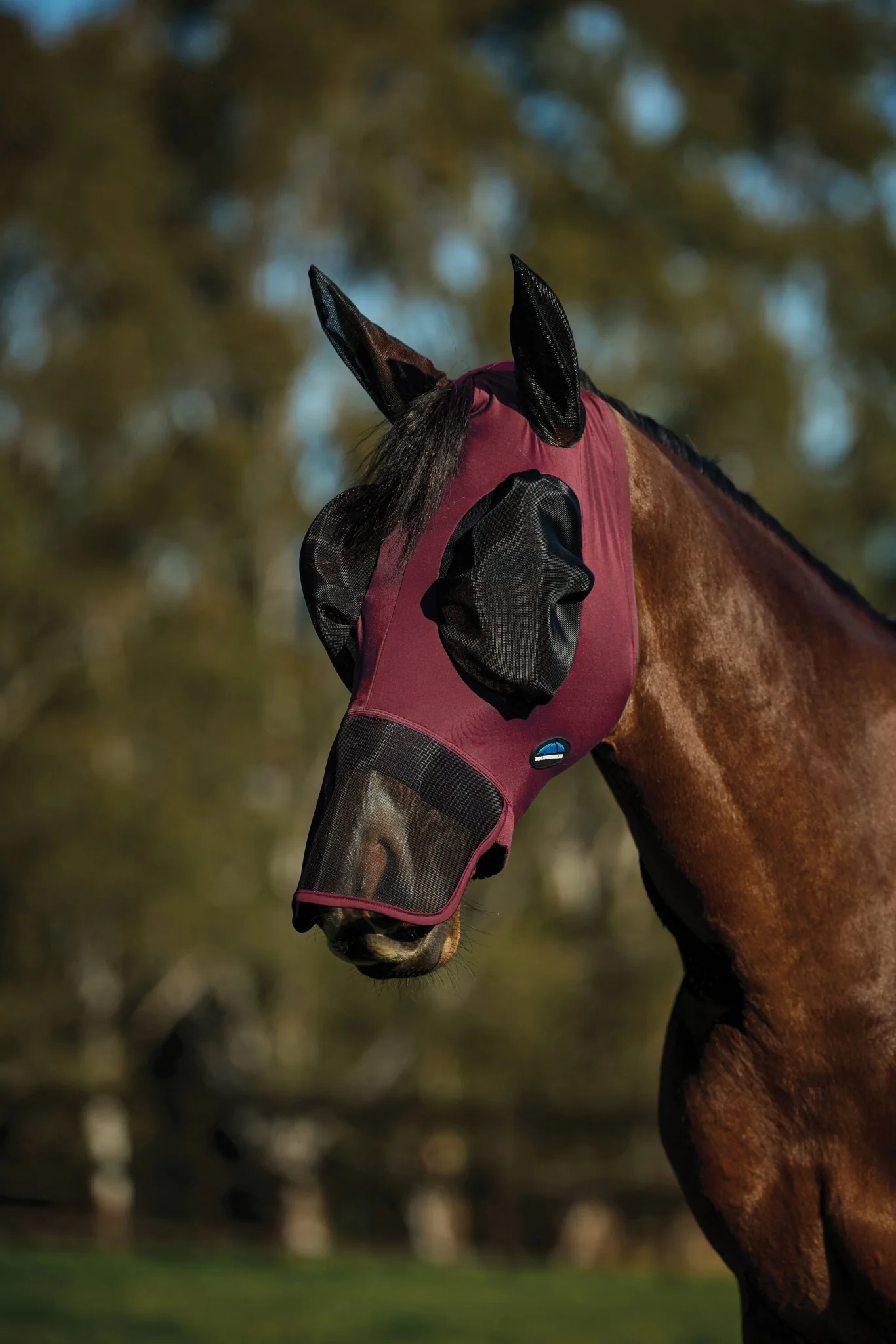 Weatherbeeta ComFiTec Luxe Stretch Fly Mask with Ears & Nose - Image 3