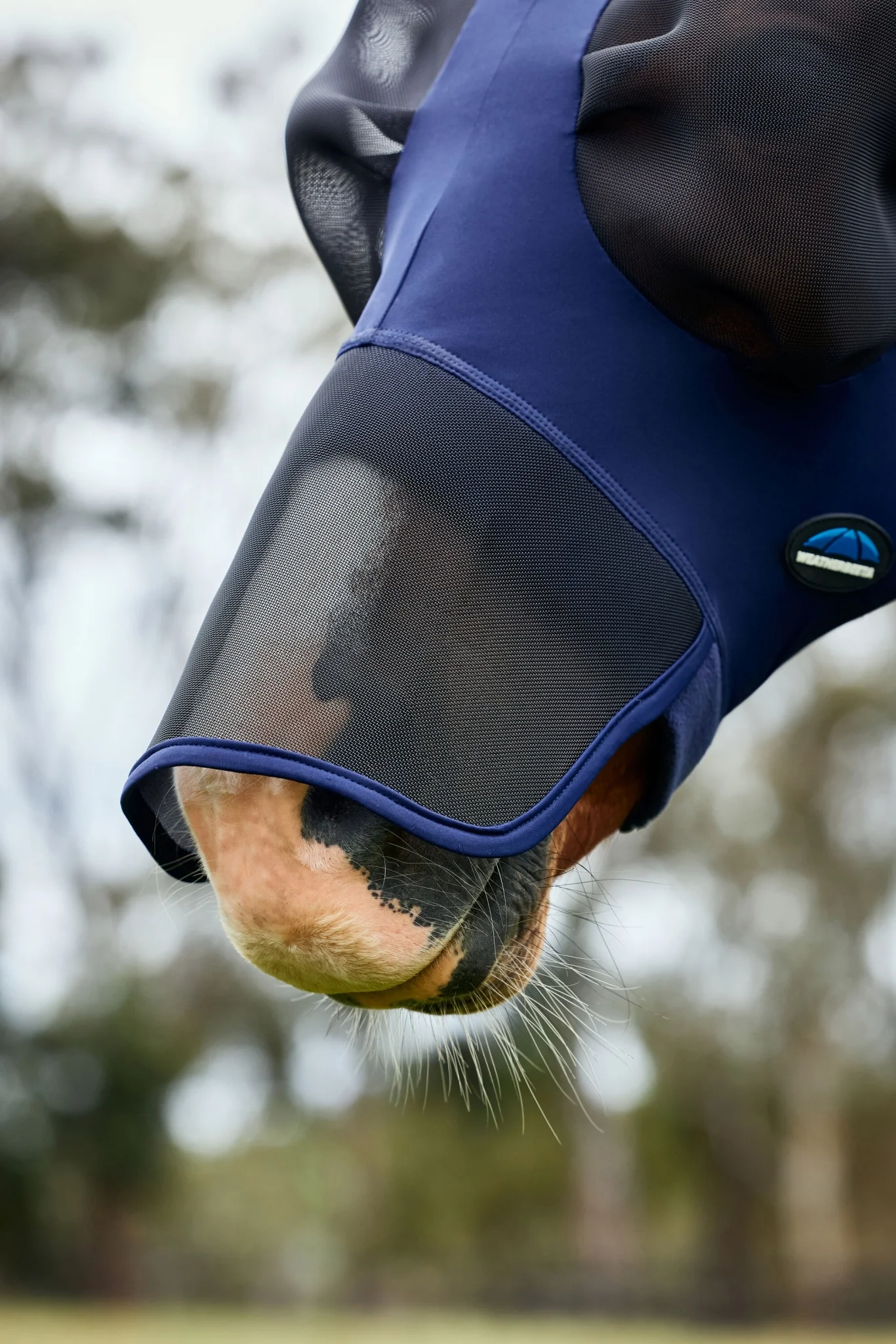 Weatherbeeta ComFiTec Luxe Stretch Fly Mask with Ears & Nose - Image 6