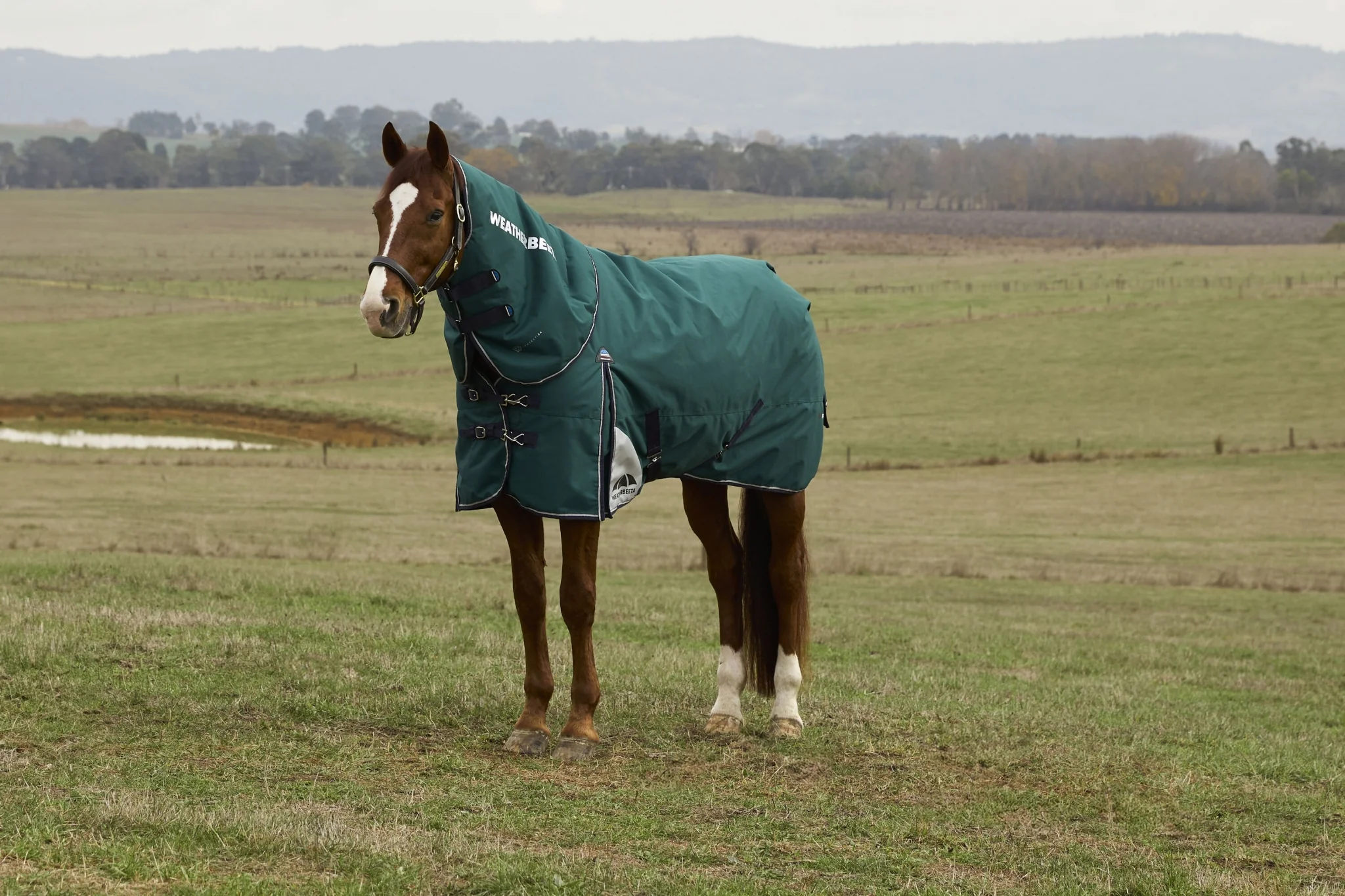 Weatherbeeta ComFiTec Plus Dynamic Turnout Detach-A-Neck 100g - Image 3