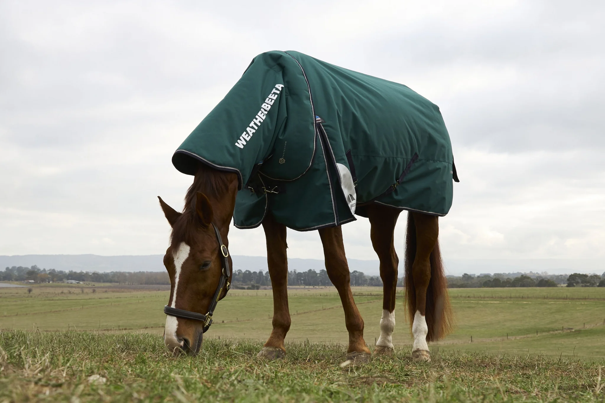 Weatherbeeta ComFiTec Plus Dynamic Turnout Detach-A-Neck 100g - Image 4