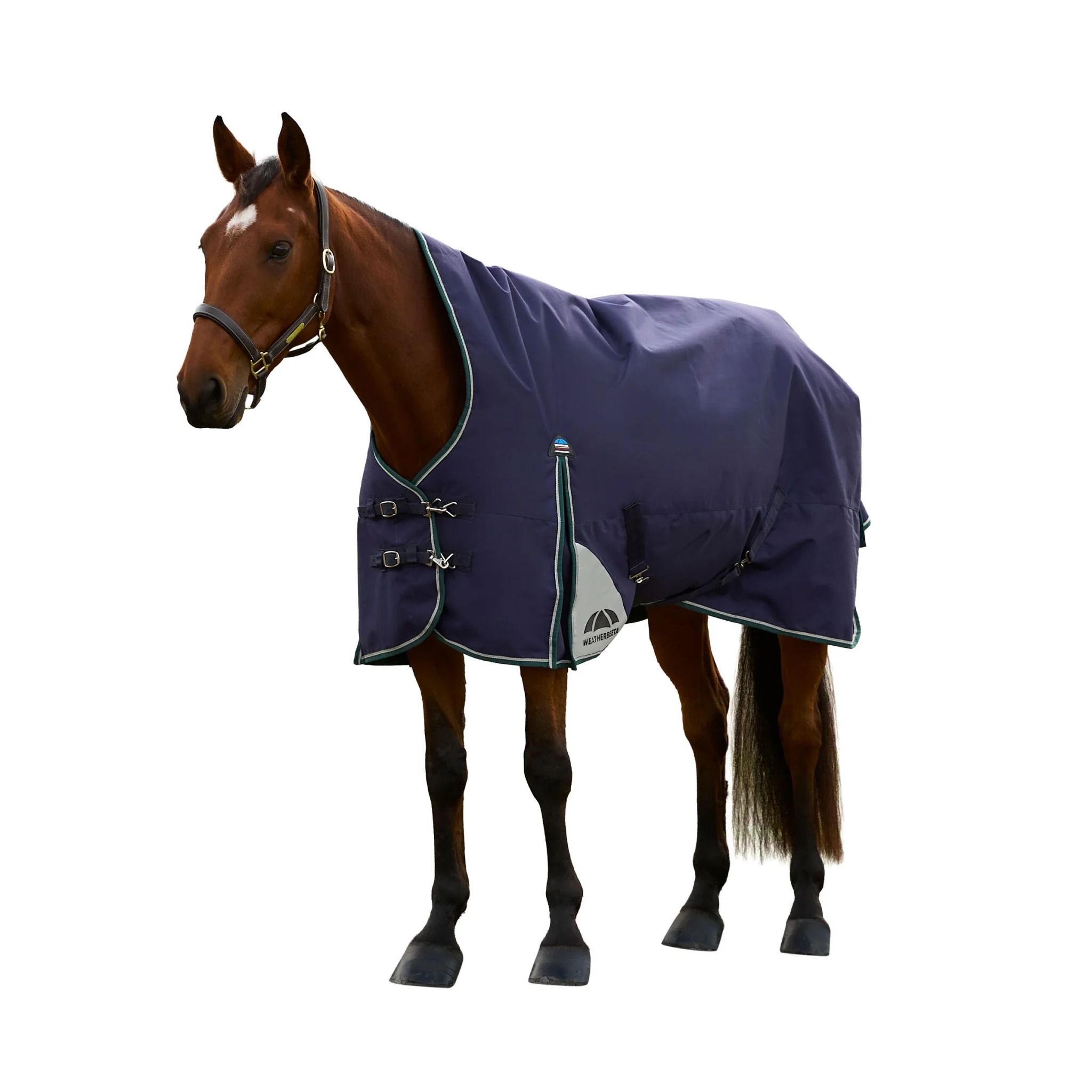 Weatherbeeta ComFiTec Plus Dynamic Turnout High Neck 220g - Image 2