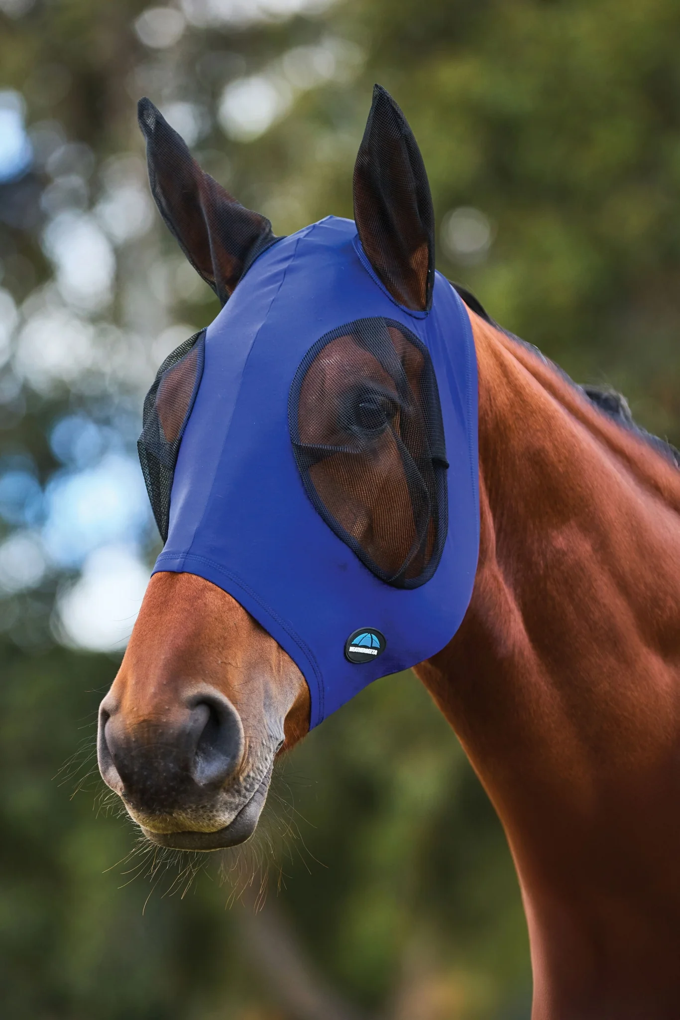 Weatherbeeta ComFiTec Stretch Fly Mask with Ears - Image 11