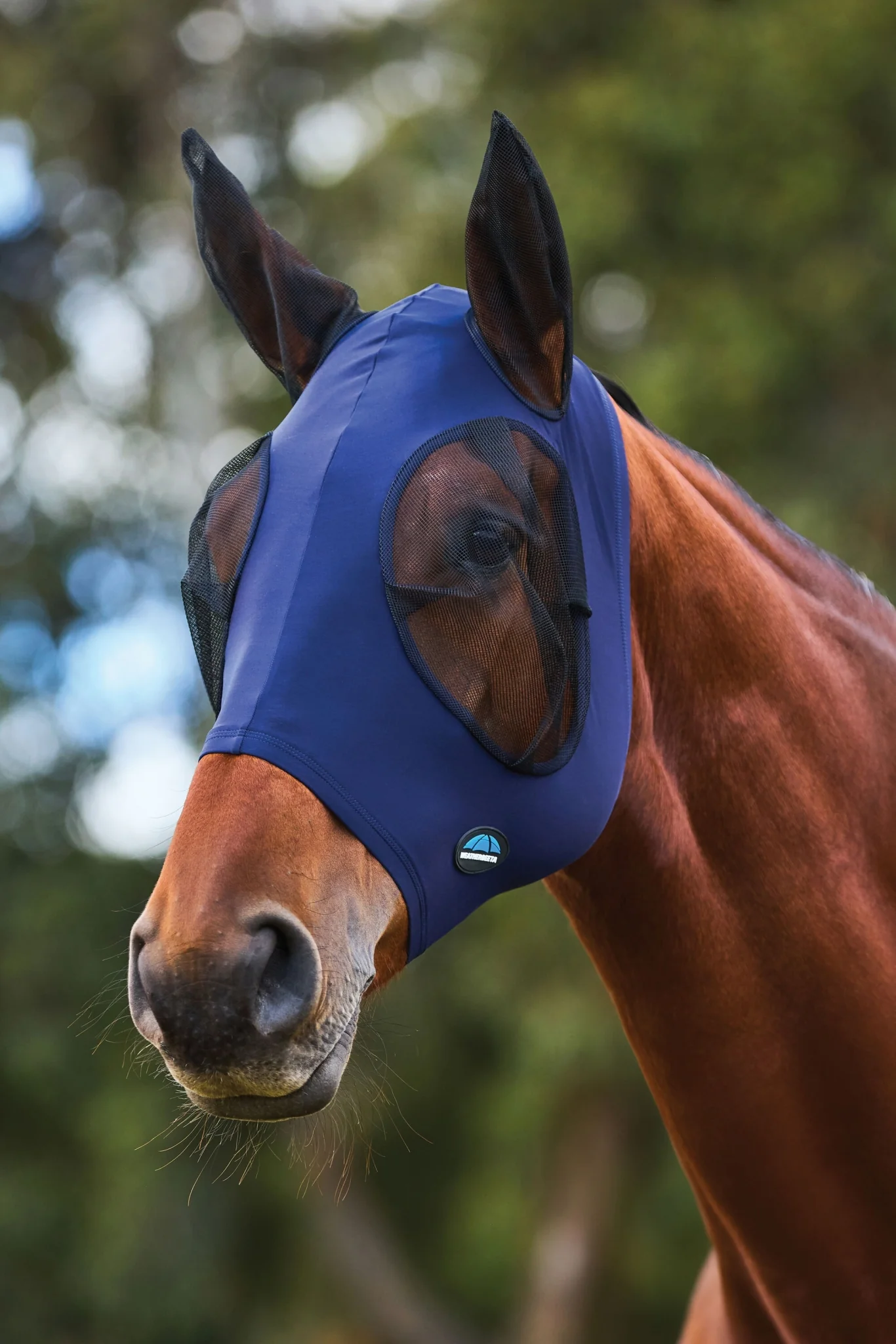 Weatherbeeta ComFiTec Stretch Fly Mask with Ears - Image 12