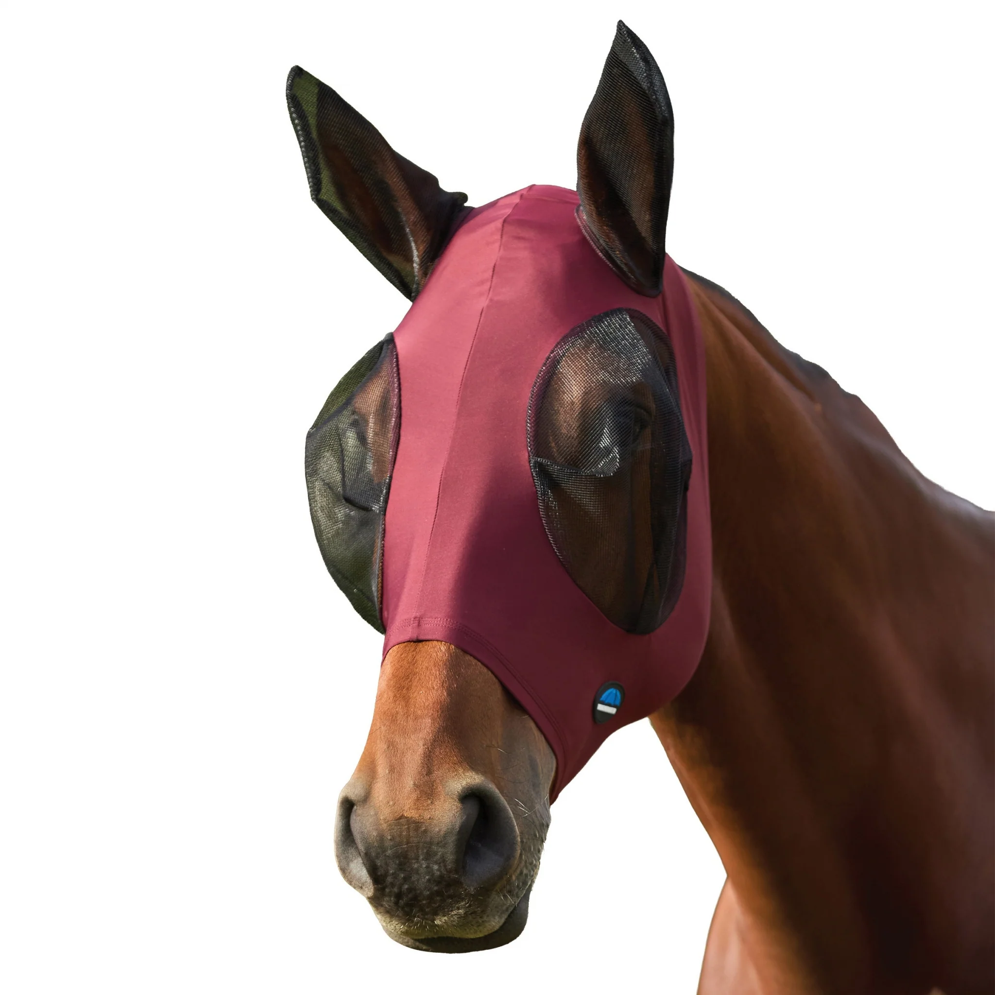 Weatherbeeta ComFiTec Stretch Fly Mask with Ears - Image 2