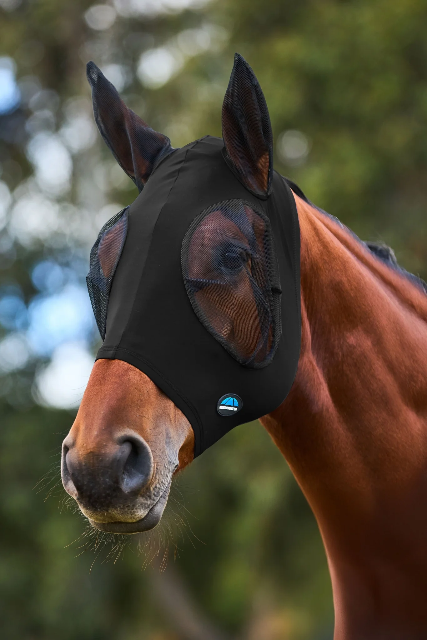 Weatherbeeta ComFiTec Stretch Fly Mask with Ears - Image 8