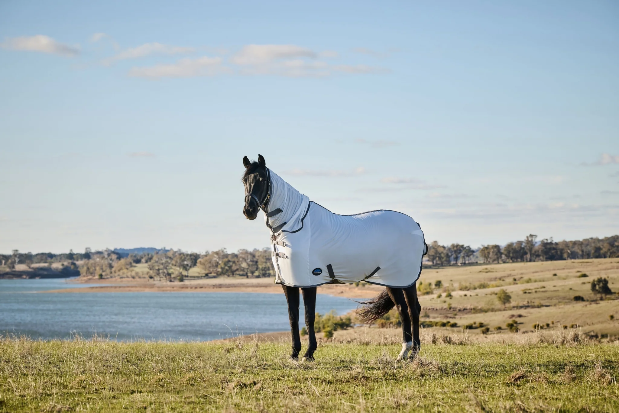Weatherbeeta ComFiTec Tyro Fly Sheet Combo - Image 4