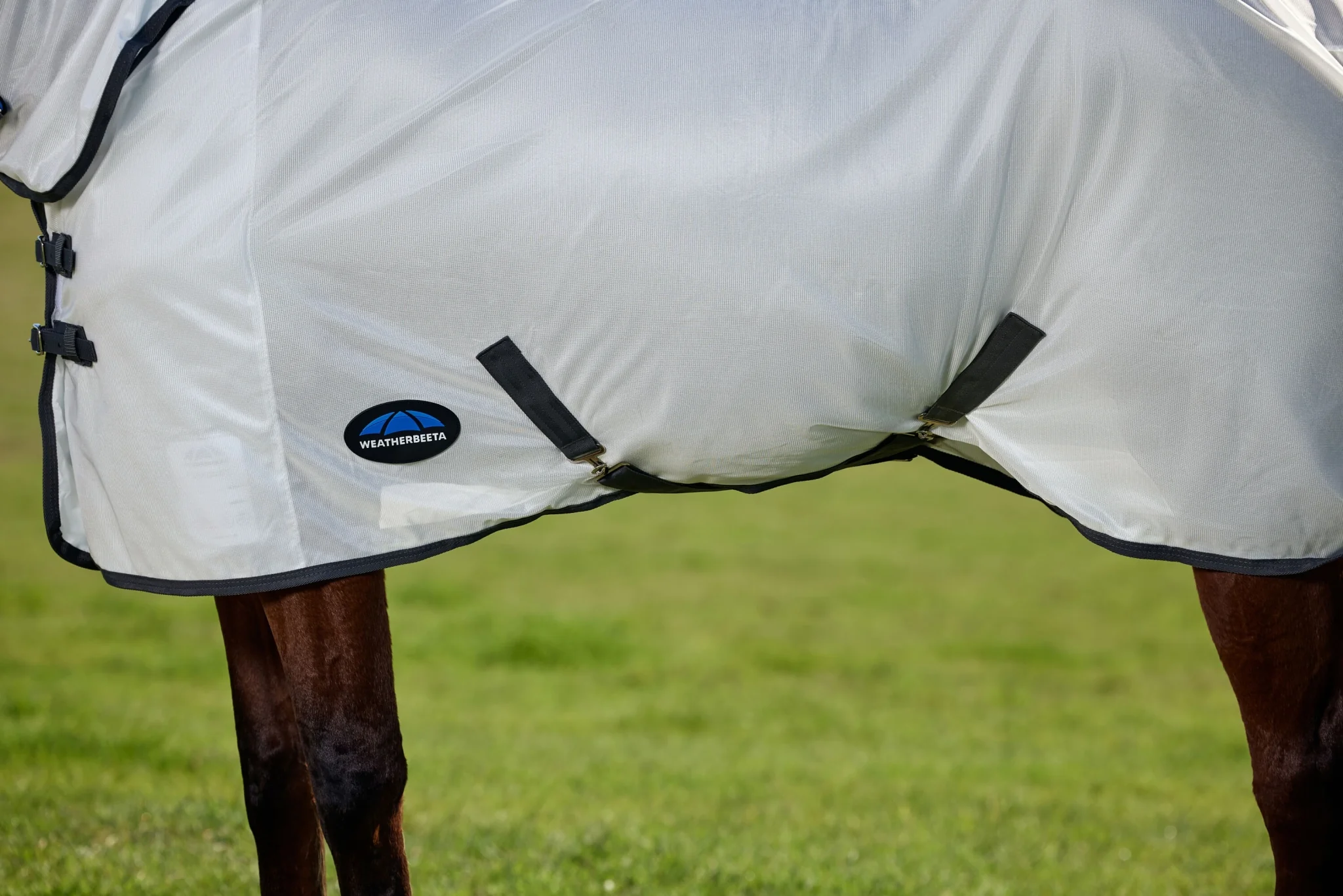 Weatherbeeta ComFiTec Tyro Fly Sheet Combo - Image 7