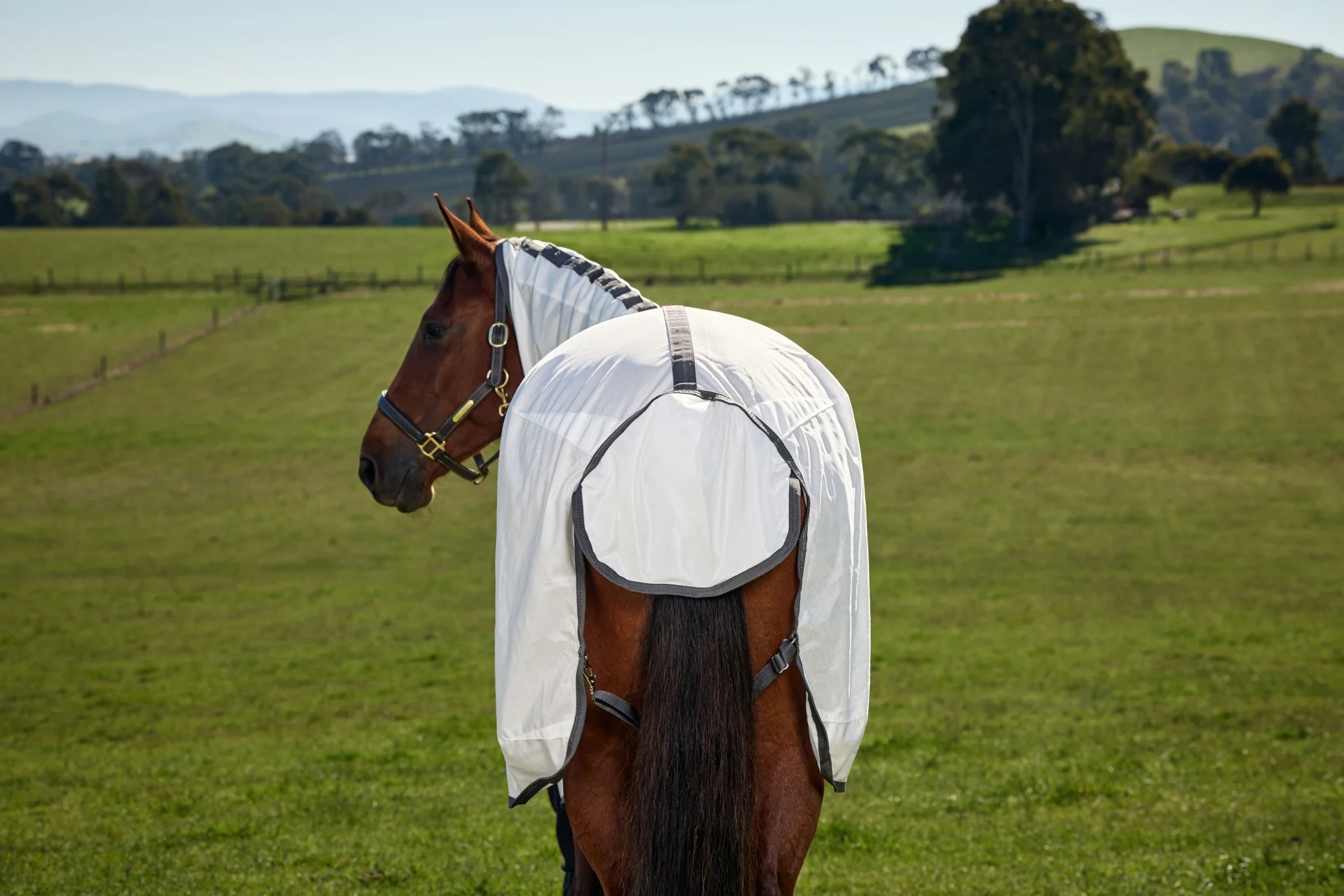 Weatherbeeta ComFiTec Tyro Fly Sheet Combo - Image 8