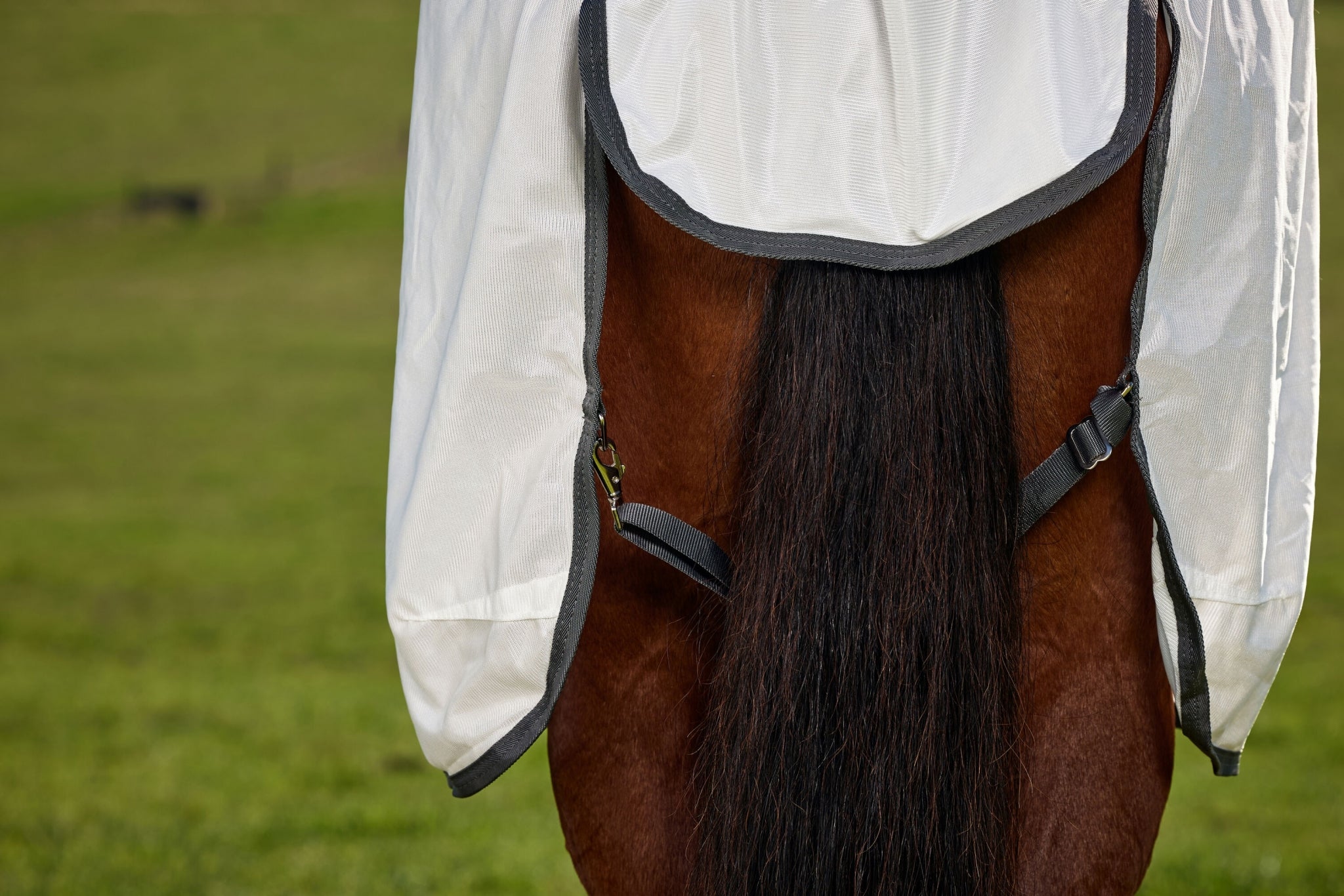 Weatherbeeta ComFiTec Tyro Fly Sheet Combo - Image 9