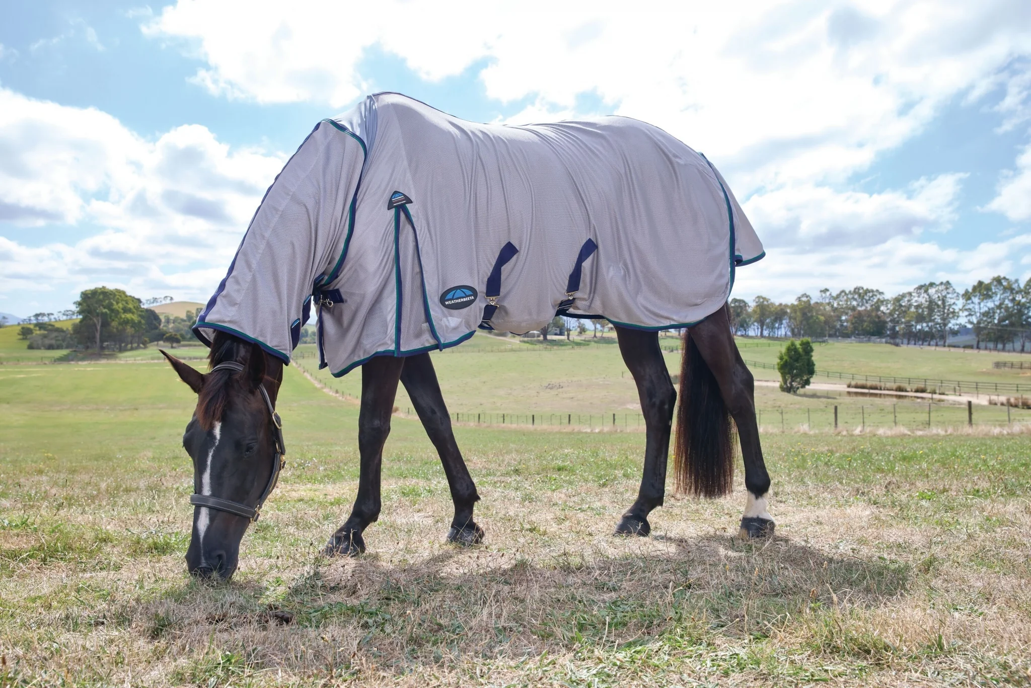 WeatherBeeta ComFiTec Zephyr Mesh Combo Neck Fly Sheet - Image 3