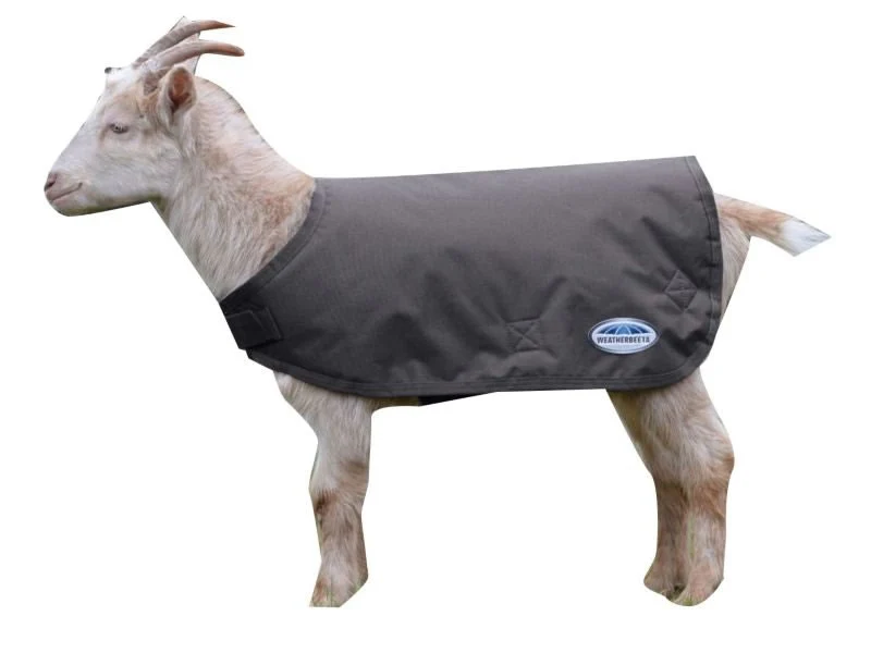 Weatherbeeta Goat Coat