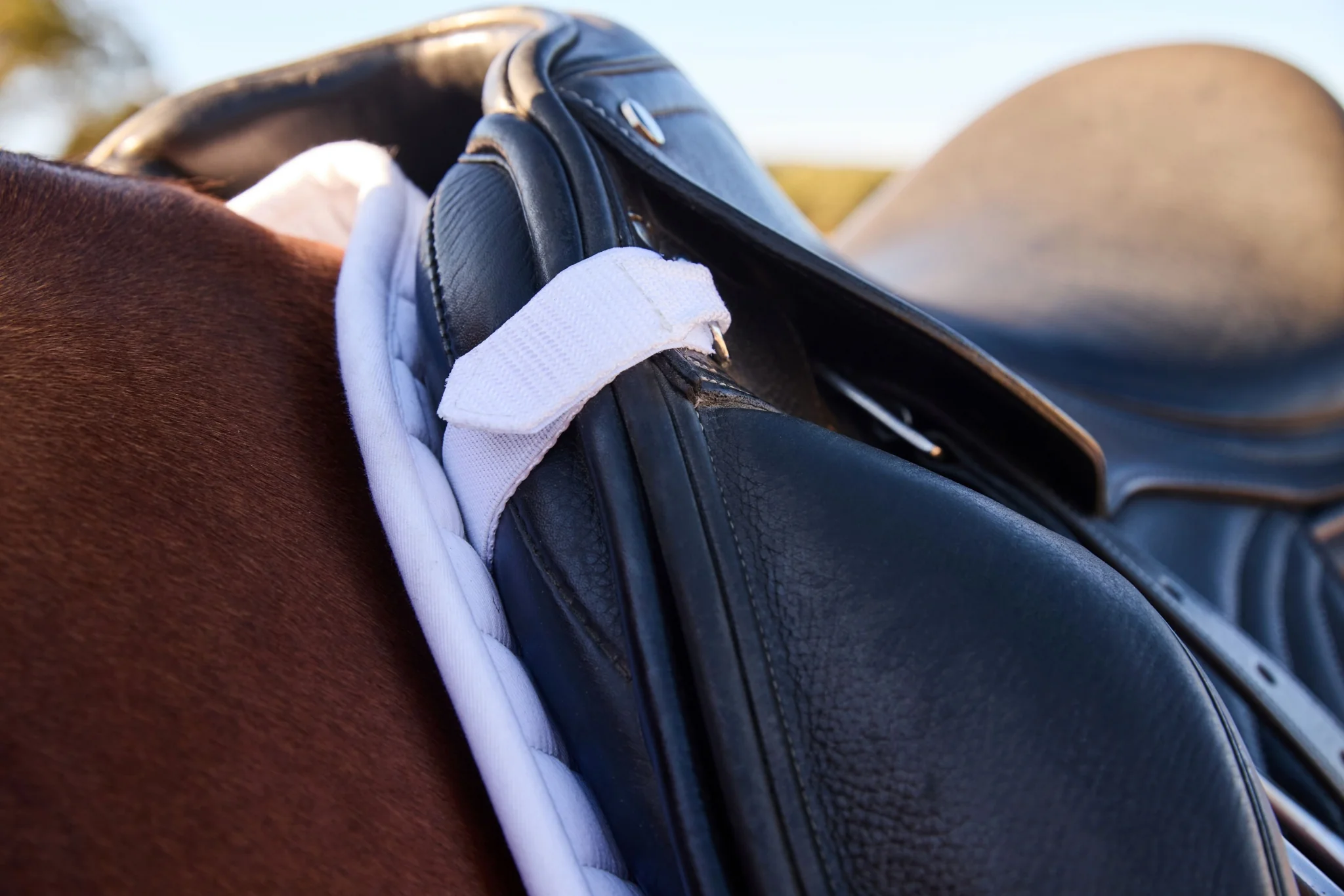 Weatherbeeta Prime Air-Tec Dressage Saddle Pad - Image 76