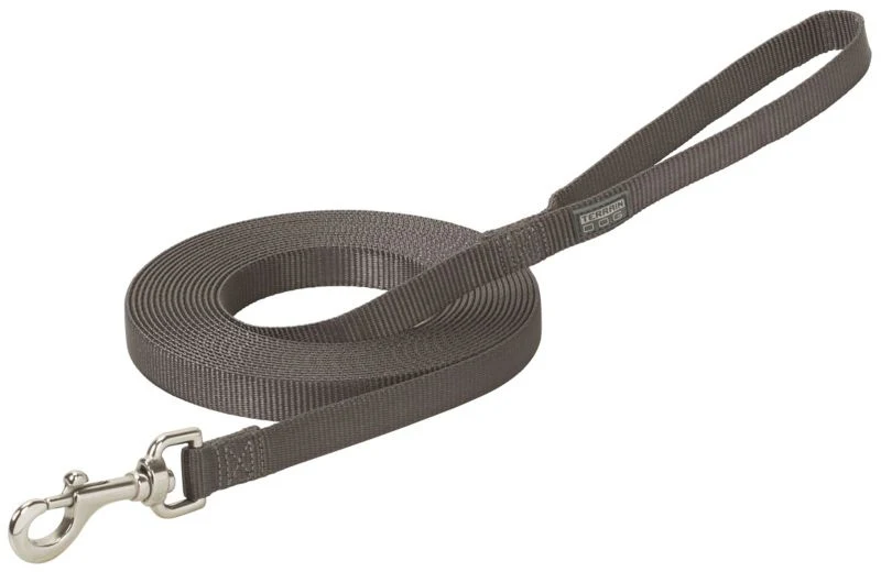 Weaver 24 Extended Flat Nylon Lead 3/4 x 24ft Gray